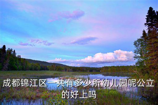 成都錦江區一共有多少所幼兒園呢公立的好上嗎