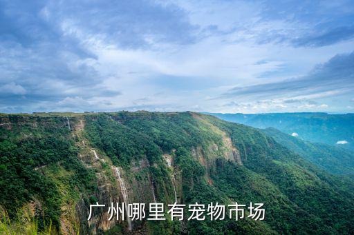 廣州市那里有寵物市場，廣州哪里有寵物市場