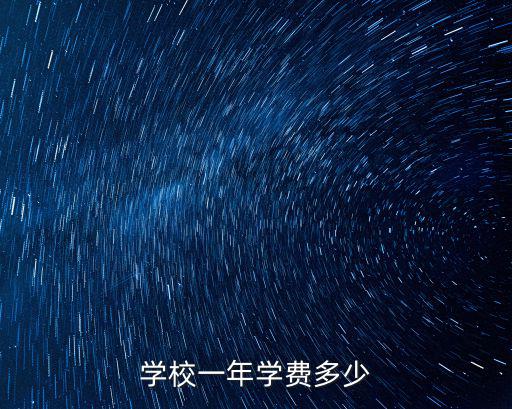 學(xué)校一年學(xué)費(fèi)多少