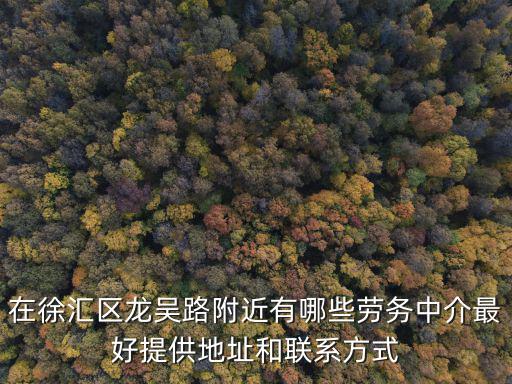 在徐匯區(qū)龍吳路附近有哪些勞務(wù)中介最好提供地址和聯(lián)系方式