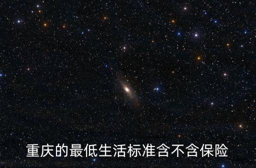 重慶的最低生活標準含不含保險