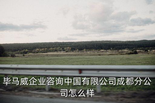 畢馬威企業(yè)咨詢中國有限公司成都分公司怎么樣