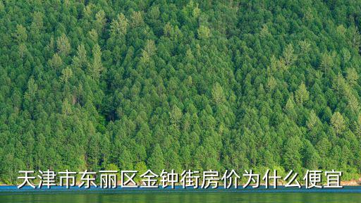 天津市東麗區(qū)金鐘街房?jī)r(jià)為什么便宜