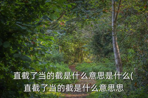  直截了當?shù)慕厥鞘裁匆馑际鞘裁? 直截了當?shù)慕厥鞘裁匆馑妓? class=