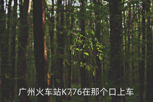廣州火車站K776在那個口上車