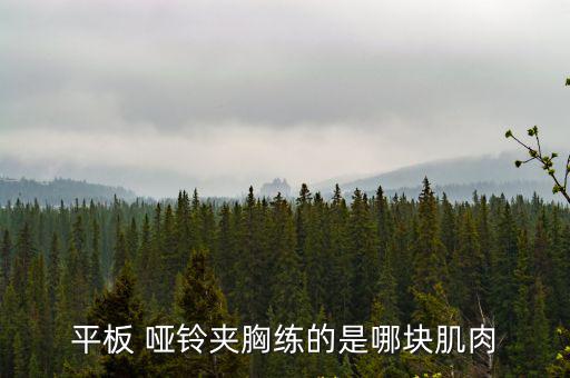 啞鈴夾胸,怎么練啞鈴飛鳥?記好三件事!