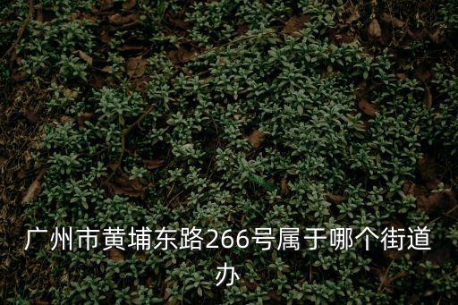 廣州市黃埔東路266號屬于哪個街道辦