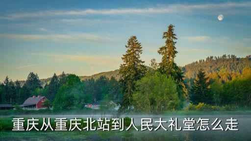 重慶從重慶北站到人民大禮堂怎么走