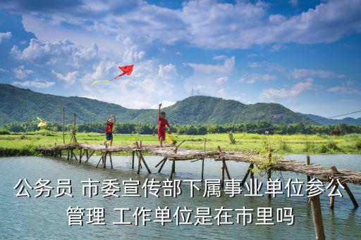 成都市委宣傳部劉萍，四川日報報業集團和成都日報報業集團是不是一個單位