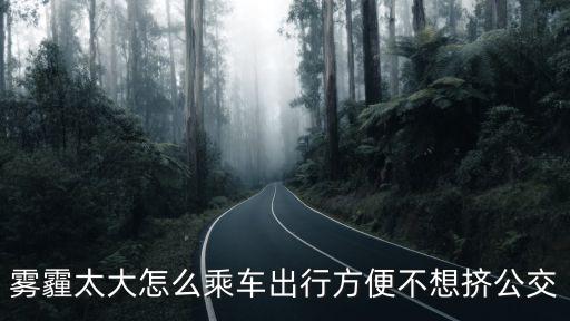 霧霾太大怎么乘車出行方便不想擠公交
