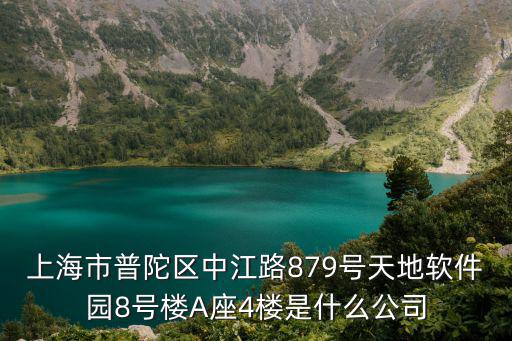 上海市普陀區中江路879號天地軟件園8號樓A座4樓是什么公司