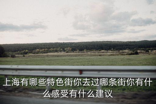 上海有哪些特色街你去過哪條街你有什么感受有什么建議