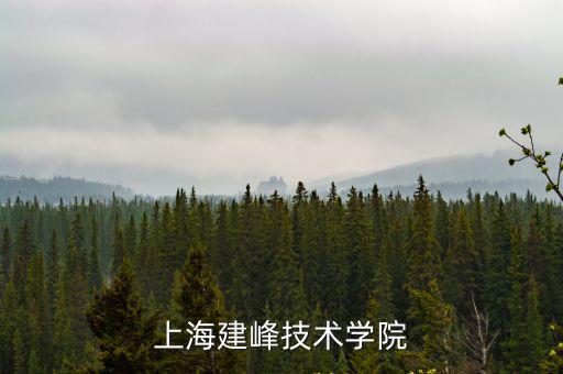 上海市建峰建筑學院，上海建峰技術學院