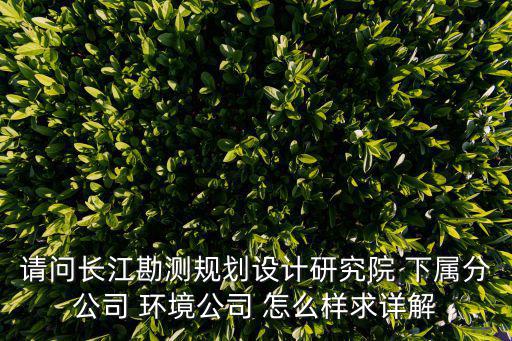 重慶市長江勘測設計，長江勘測規劃設計研究院的資質等級