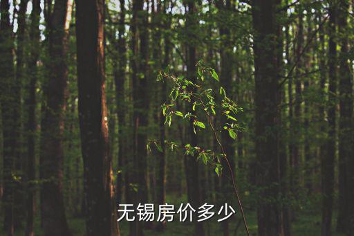 無錫房?jī)r(jià)多少