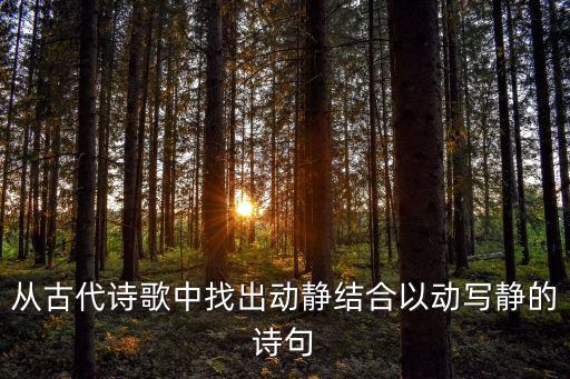 從古代詩歌中找出動靜結合以動寫靜的詩句