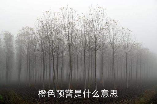 橙色預警是什么意思