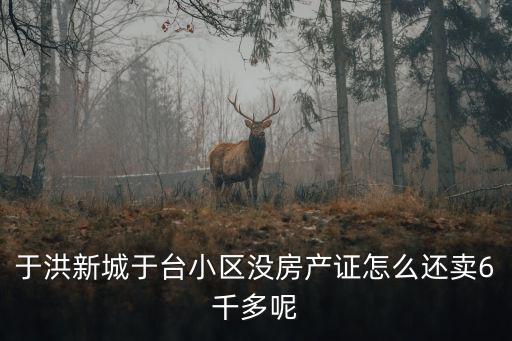 于洪新城于臺小區沒房產證怎么還賣6千多呢