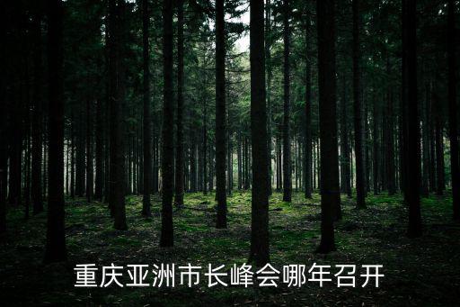 重慶亞洲市長(zhǎng)峰會(huì)哪年召開