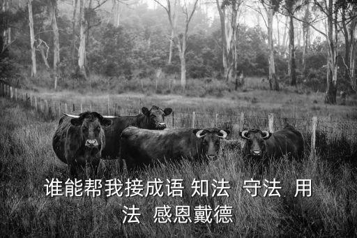 誰能幫我接成語 知法  守法  用法  感恩戴德