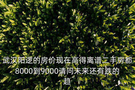 武漢房價(jià)哪個(gè)地方跌得最狠，武漢沌口房價(jià)為什么跌這么狠