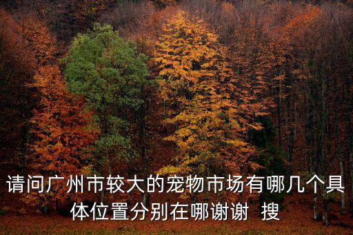 請問廣州市較大的寵物市場有哪幾個具體位置分別在哪謝謝  搜