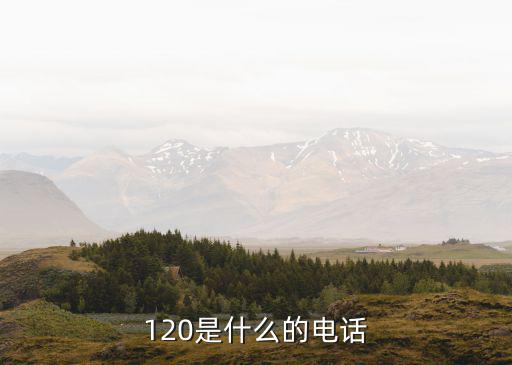 120是什么的電話