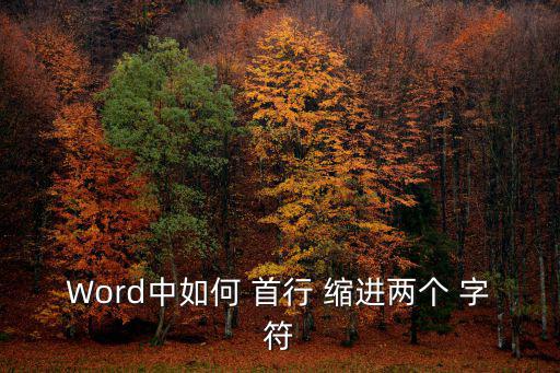 Word中如何 首行 縮進兩個 字符