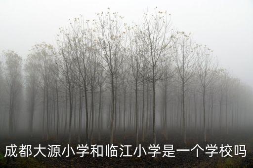 成都大源小學(xué)和臨江小學(xué)是一個學(xué)校嗎