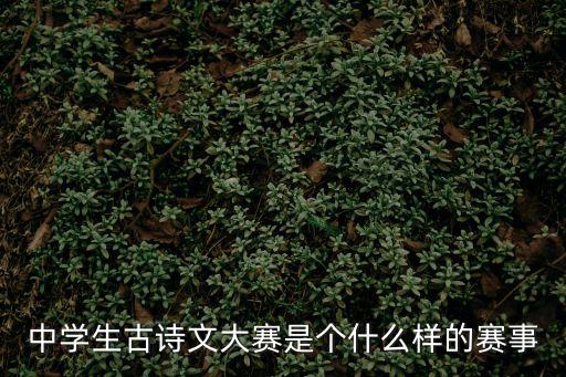 中學生古詩文大賽是個什么樣的賽事