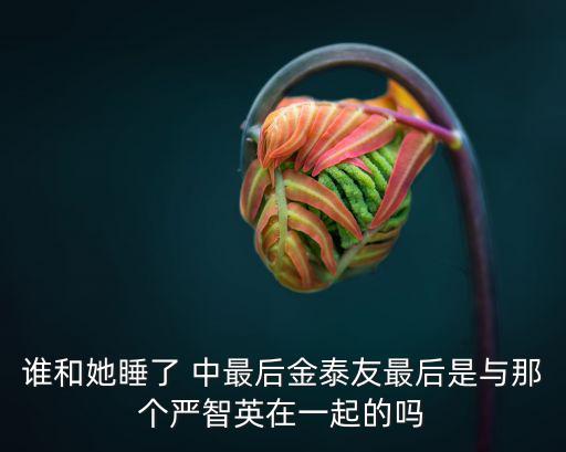 誰和她睡了 中最后金泰友最后是與那個嚴智英在一起的嗎