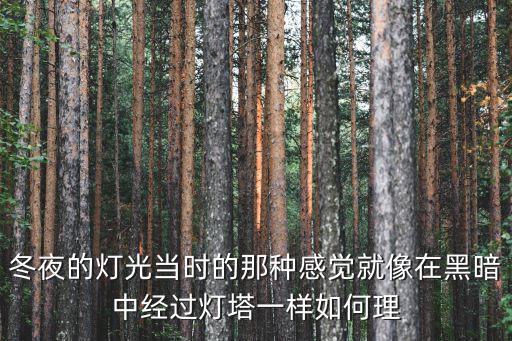 冬夜的燈光當(dāng)時(shí)的那種感覺就像在黑暗中經(jīng)過燈塔一樣如何理