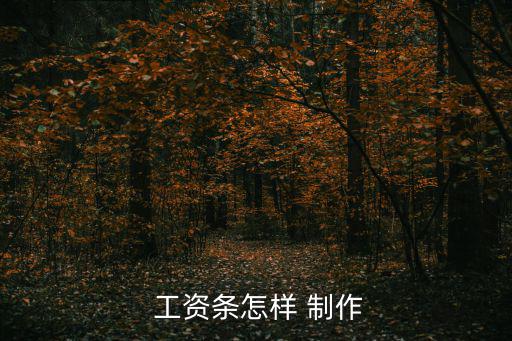  工資條怎樣 制作