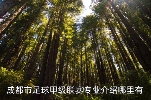 成都市足球甲級聯(lián)賽專業(yè)介紹哪里有