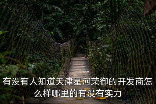 有沒有人知道天津星河榮御的開發商怎么樣哪里的有沒有實力