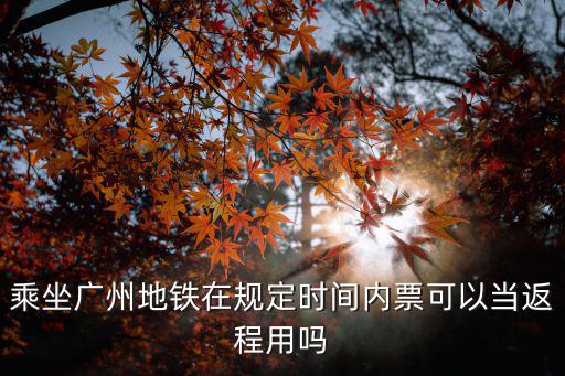 要不要返程廣州，廣州火車站現在是否可以買返程票