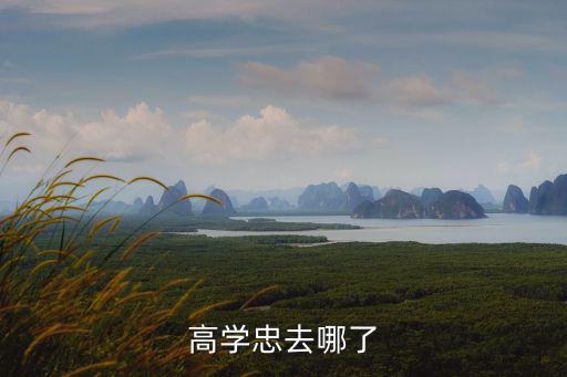 高學忠去哪了