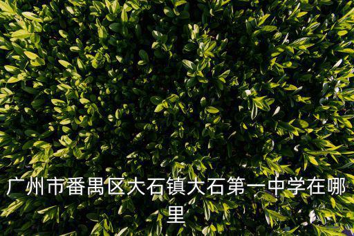廣州市番禺區大石鎮大石第一中學在哪里