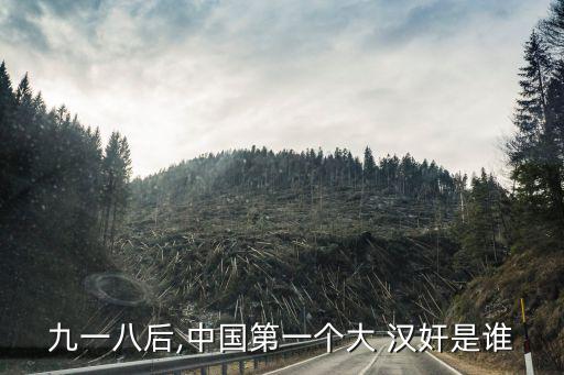 中國最大的漢奸,沒有最大漢奸只有更差的偽造文件
