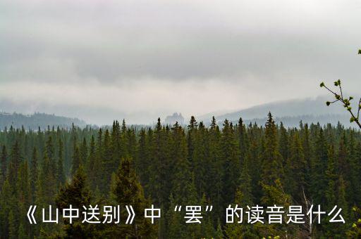 罷怎么讀,第二集:他今天大概能來