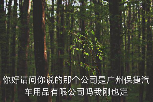 你好請問你說的那個公司是廣州保捷汽車用品有限公司嗎我剛也定