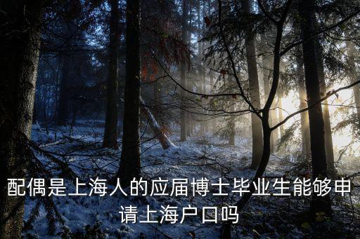 上海博士畢業落戶，博士上海落戶
