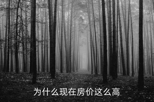 為什么現在房價這么高