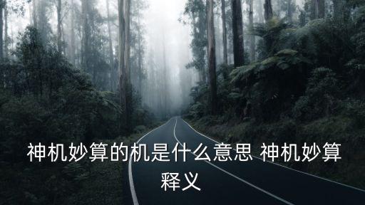 神機妙算是什么意思,神機妙算之謎