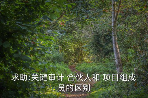 求助:關鍵審計 合伙人和 項目組成員的區(qū)別