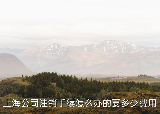 上海營業執照注銷流程及費用，上海公司注銷手續怎么辦的要多少費用