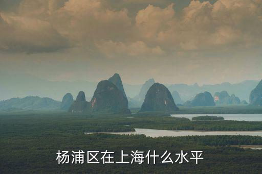 楊浦區(qū)在上海什么水平