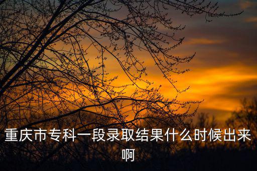 重慶市專科一段錄取結果什么時候出來啊