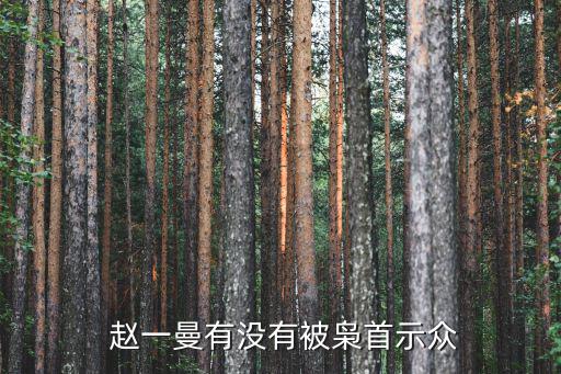 趙一曼照片,趙一曼被槍擊中倒下了是生命的開始