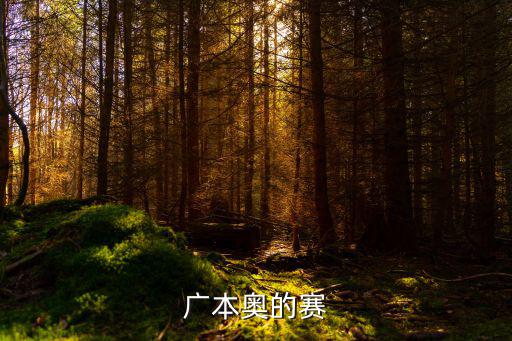 廣本奧的賽